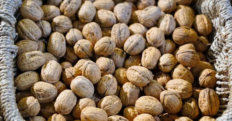Les aliments présentés comme des « carburants du cerveau »